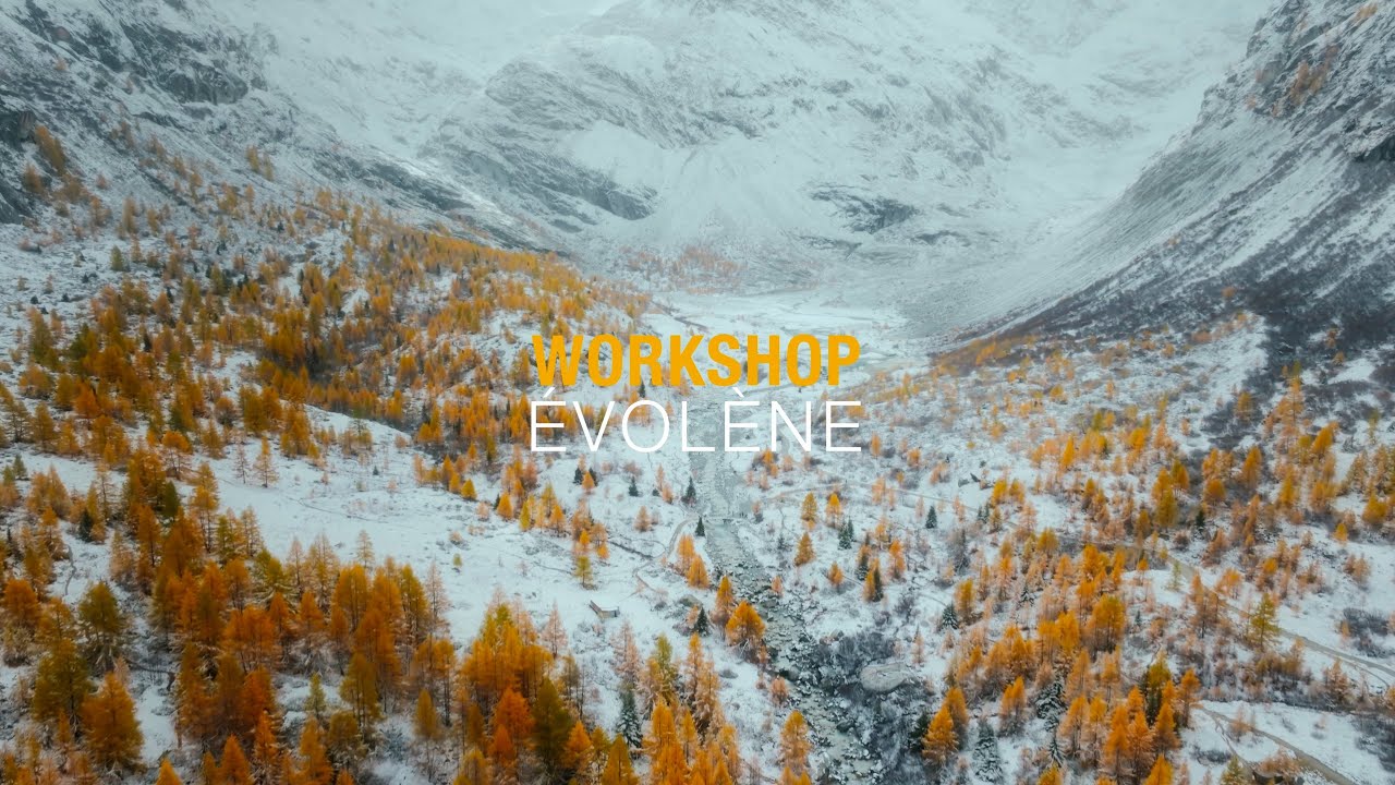 Workshop Evol&egrave;ne