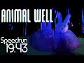 Animal Well NMG Speedrun - 19:43