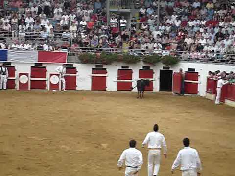 Bullfight- France 2009