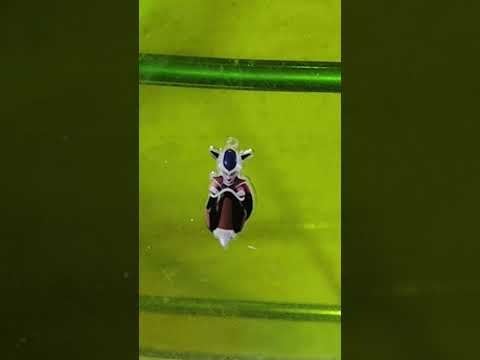 Día 15 calendario de Adviento Dragonball