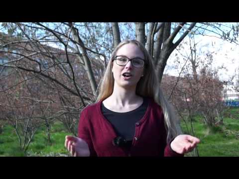 Sp&oslash;rgsm&aring;l du f&aring;r til jobsamtalen - YouTube video