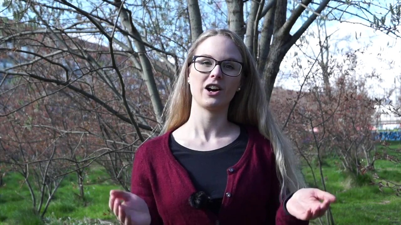 Jobsamtalen: Hvad snakker man om? - YouTube video