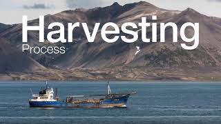 TeraSvět Aquamin pre plazy 100 g