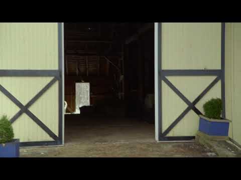 i was just cleaning it