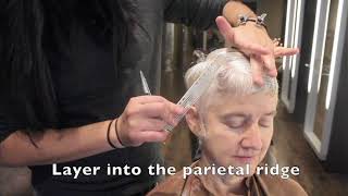 Disconnected Pixie Tutorial with Christian Awesome