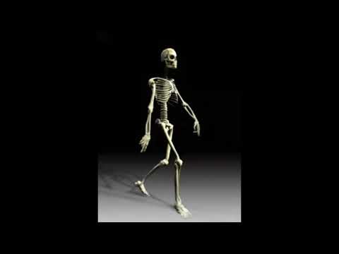 Esqueleto loquendo (prueba)