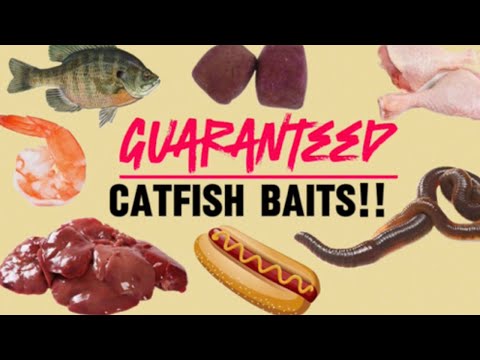Top 7 BEST Catfish Baits GUARANTEED To Catch MORE And BIGGER Catfish