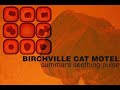 Birchville Cat Motel - Summer's Seething Pulse (2003 - Mar/Ino Recordings - Experimental/Drone)