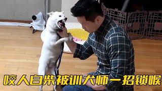 [問卦] 訓狗師跟寵物溝通師 誰比較懂狗？