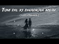 Tum Dil Ki Dhadkan Mein Lofi Song Suniel Shetty Shilpa Shetty Dhadkan Hindi Romantic Songs