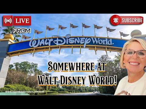Live webcam of That Crazy Disney Lady