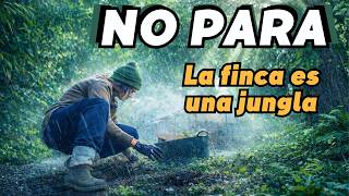 Lluvias intensas en la finca , limpio varias zonas y hay peligro de quedar incomunicada. Vlog273