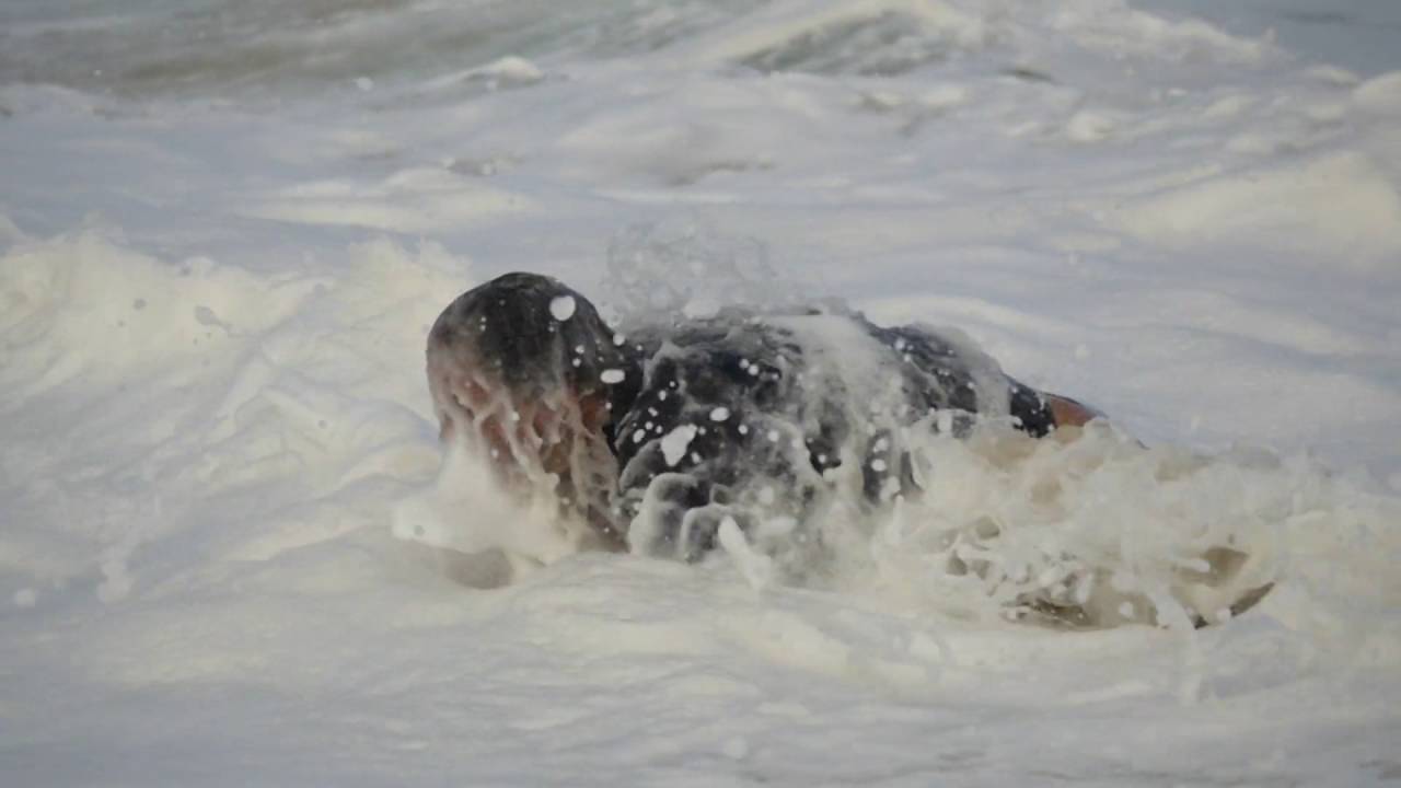 SHOREBREAK: The Clark Little Story - OFFICIAL FILM TRAILER - 3 Min