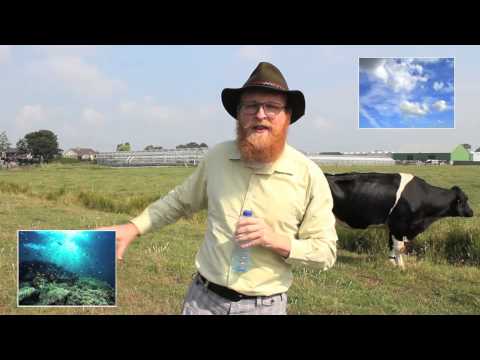 Stikstofkringloop met Alex Karlas