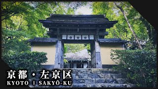 京都左京区の寒露来る緑の庭園と神社仏閣3選 l Beautiful Gardens and Shrine in Kyoto【Kyoto Sakyo】