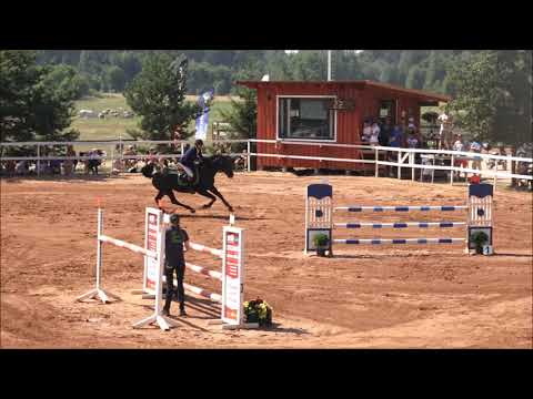 In Style N, KWPN stallion, (I´m Special De Muze - Padinus)