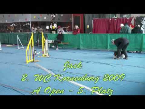 Jack 2. WC Korneuburg 2009 A Open