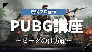 祝無料化！！現役プロによるPUBG講座！～ピークの仕方編～
