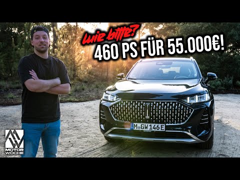 Neuer Platzhirsch aus China ?! | WEY Coffee 01 | Review | MoWo