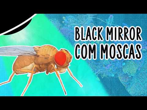 CIENTISTAS “DIGITALIZAM” CÉREBRO DE MOSCA E INTERNAUTAS FAZEM HORRORES COM ELE | ABDUÇÃO