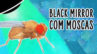 CIENTISTAS “DIGITALIZAM” CÉREBRO DE MOSCA E INTERNAUTAS FAZEM HORRORES COM ELE | ABDUÇÃO
