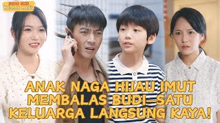 Download lagu 【IndoSub】Anak Naga Hijau Imut Membalas Budi—Satu Keluarga Langsung Kaya!#drama #minidrama mp3