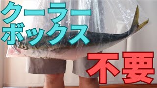 【100均NG】魚を入れても破れない厚手のビニール袋はこれ！