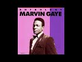 Without Your Sweet Lovin' - Marvin Gaye - 1966