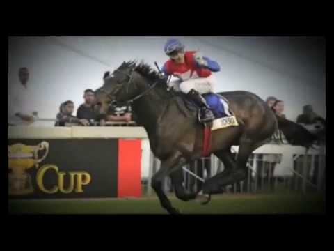 Jackson - Breeding To Win 2016/17 (Tellytrack)