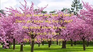 MY LOVE IS HERE    Jim Brickman