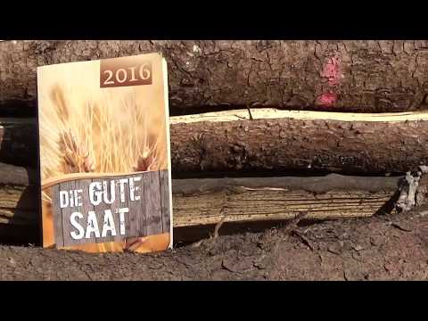 Die GUTE Saat - Wird sie bei DIR aufgehen? - Eine Buchempfehlung!