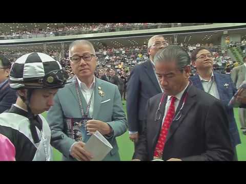 Horse Racing in Hong Kong: 2016 Champions Mile on Trans World Sport