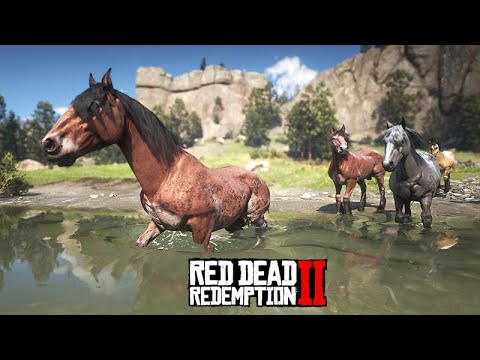 I TAMED MANY HORSES - We need to sell wild horses - Red Dead Redemption 2