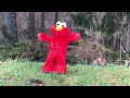 The Nature Elmo