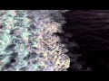 Sir Sly - Easy Now 