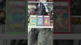 How to display Pokemon Slabs? #pokemonchannel #psa #display