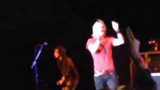 Trees: Marty Casey &amp; Lovehammers NYE show