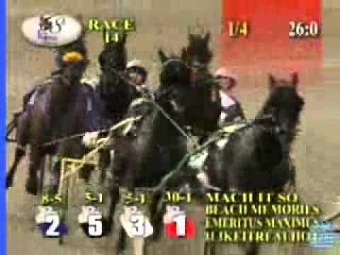 Little Brown Jug 2013 LBJ Elim II Lucan Hanover (# 4)
