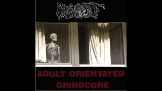 Din-Addict - Adult Orientated Grindcore FULL ALBUM (2005 - Grindcore)