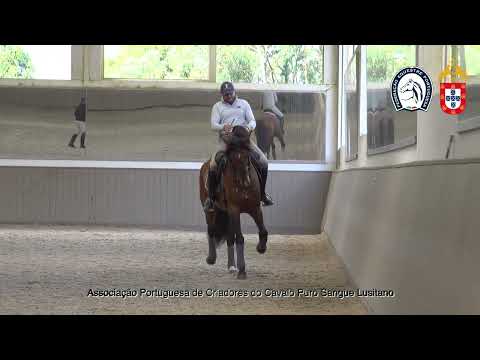 220902 4 Proj Ensino APSL&FEP - Gilberto Filipę com Nuestro da Ferraria