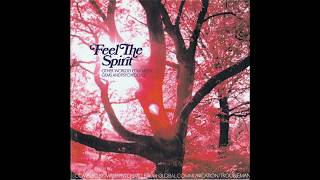 Feel The Spirit - other worldly folk music gems & psychedelics