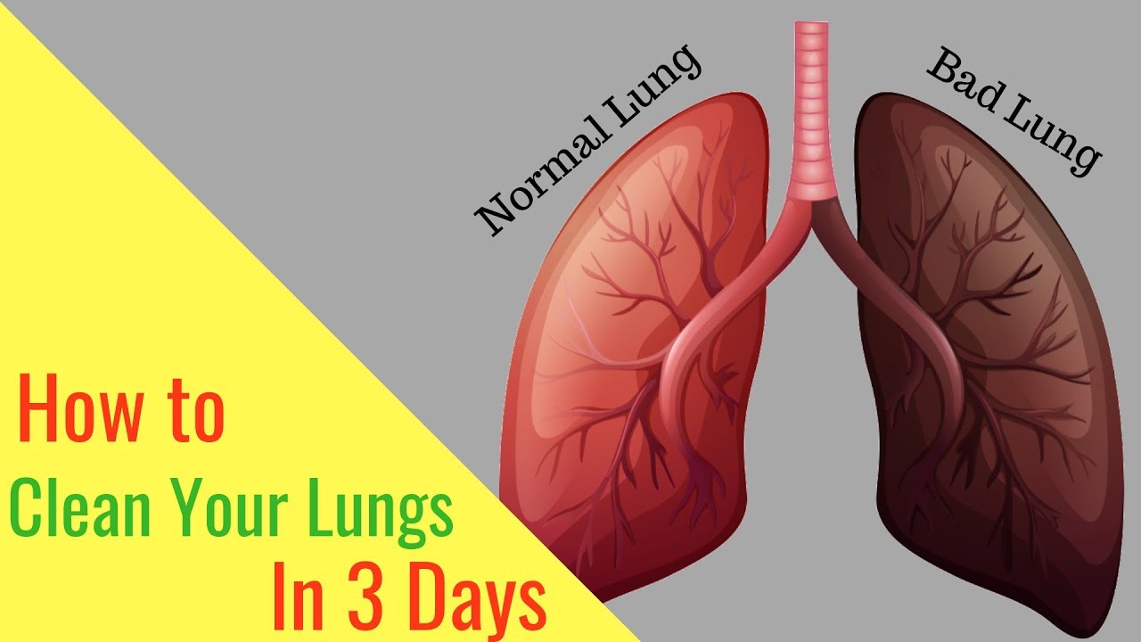 How to Clean Your Lungs in 3 Days - YouTube