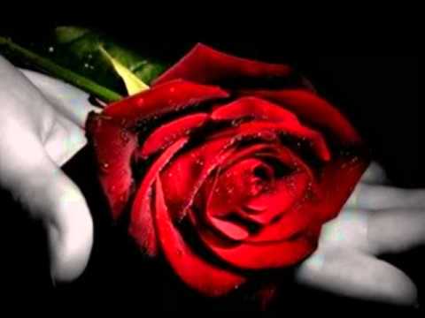 Judyta Wenda   Jeśli ty nie istniałbyś