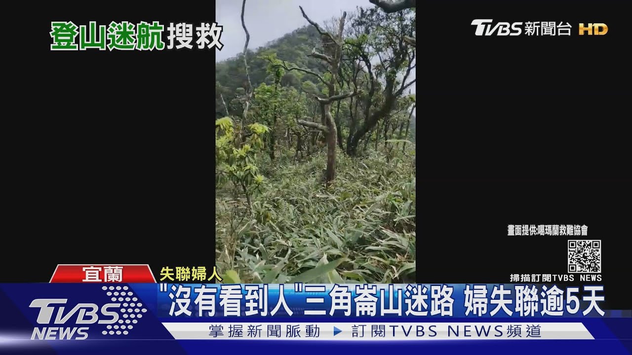 "寶貝媽媽迷路了嗎?"急向兒求救 婦登抹茶山失聯