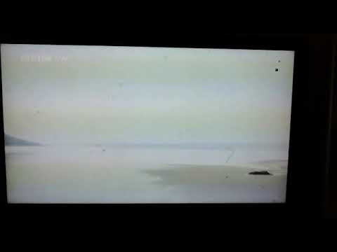 Swansea City v Chesterfield 11/5/79 Alan Waddle & John Toshack goals earn promotion to division 2.