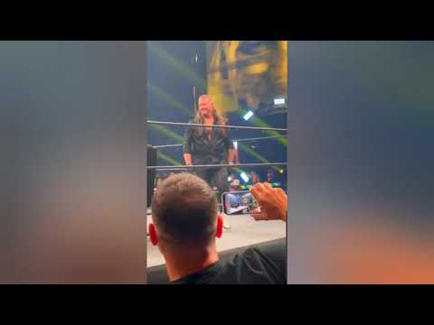 Chris Jericho Punches Fan Who Rushes Ring During AEW Event