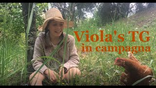 Viola's TG- In campagna