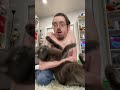 HIS CAT Vs MY CAT