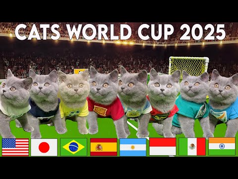 🐾 Cats World Cup 2025 | Cute Kittens Compete for Global Glory! 🇺🇸⚽