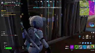 【フォートナイト】さて、今日も楽しみますか…